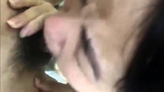 Yosko Suce
