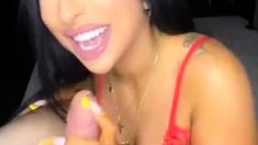 Amateur girlfriend homemade pov blowjob