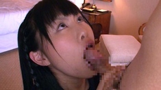 Japanese teen blowjob with creamy mustache