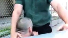 Daddy's Outdoor Lunch Break Blowjob