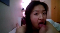 Asian Amateur Blowjob and Cum Swallow POV Video
