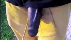 Big Black Cocks Outdoors