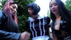 Mistress Amrita, Mistress Youko Domestic Sissy Slave Fate