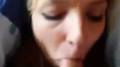 Girlfriend Blowjob And Cum Swallow