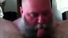 Bearded Dad Sucking Really Good